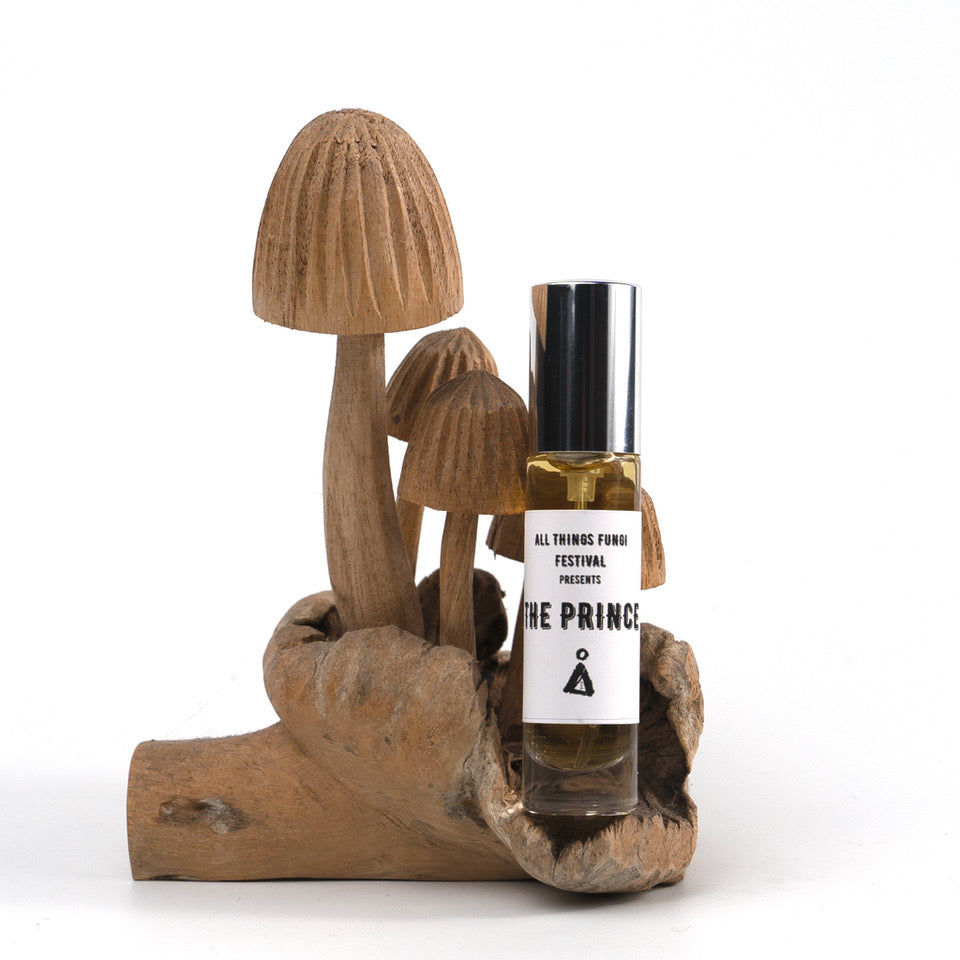 Fungus among us