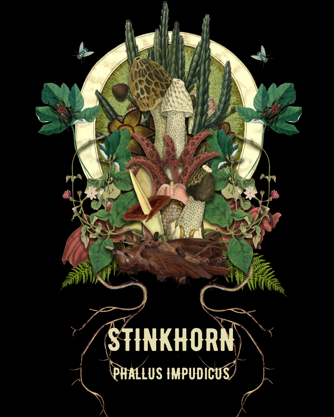 Stinkhorn
