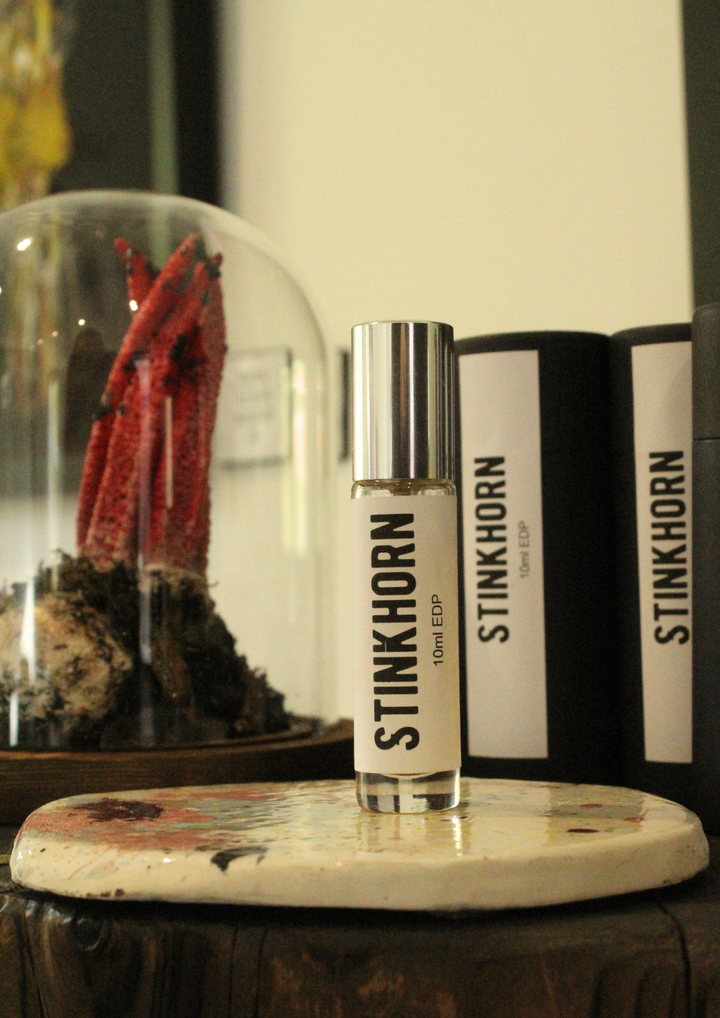 Stinkhorn