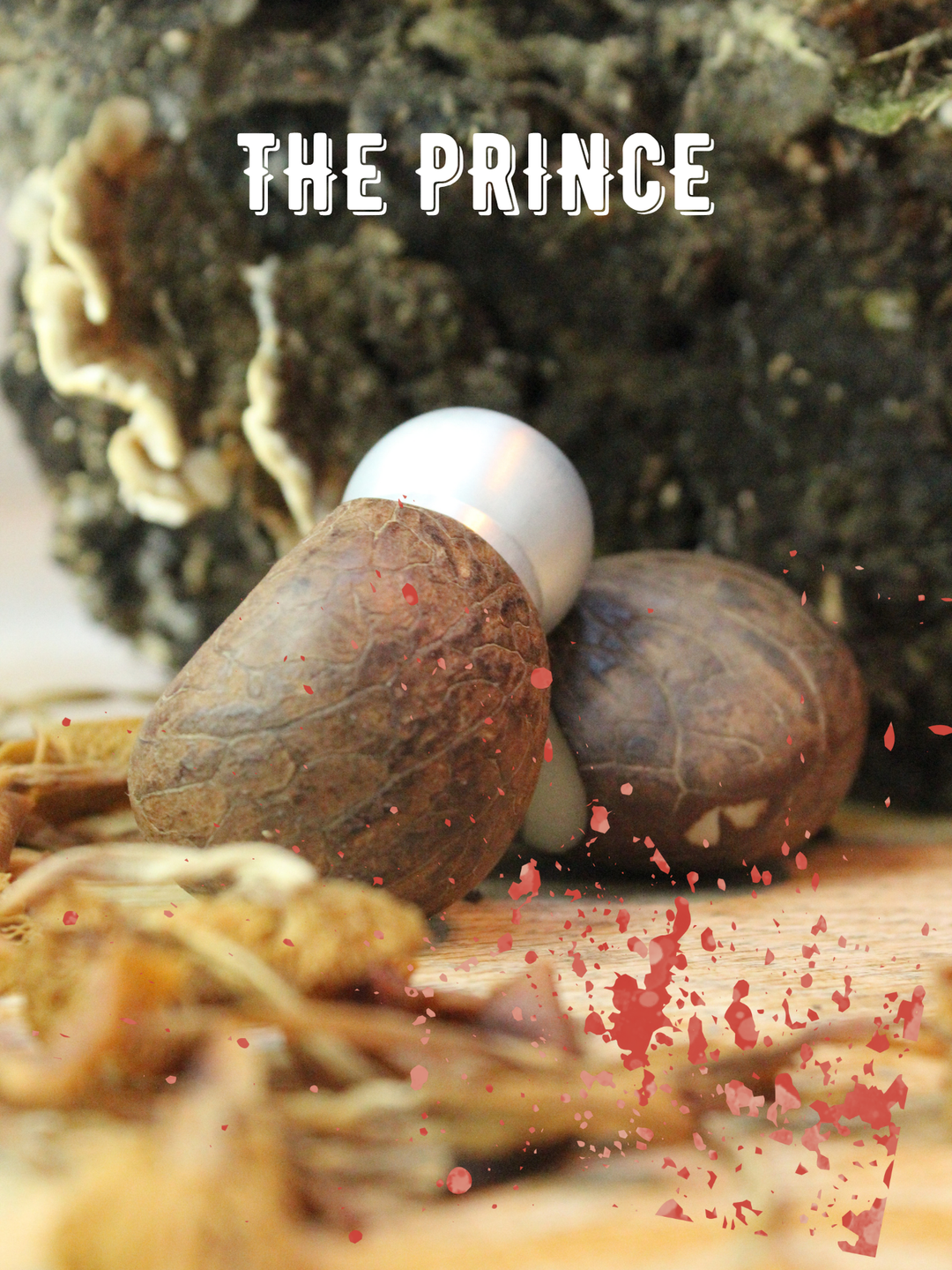 The Prince - Agaricus Augustus